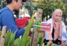Pesan Hijau dari Gunung Andong