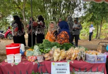 Curcuma Action Kenalkan Produk Temulawak lewat Bazar