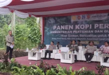 Diolah Dry Process, Kopi Robusta Sleman Punya Cita Rasa Unik