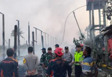 Diduga Korsleting Listrik, Kandang Ayam di Galur Ludes Terbakar