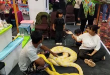 Belajar Mengenal Reptil Bersama Komunitas Reptile Yogyakarta