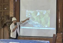 Diterpa Isu Miring, Manajemen On The Rock Gunungkidul Akhirnya Buka Suara