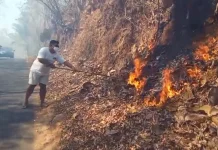Hutan Jati di Selopamioro Terbakar, Asap Tebal Ganggu Pengguna Jalan
