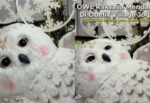 OWL Raksasa Hadir, Jadi Spot Foto Unik Obelix