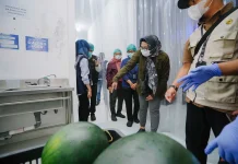 Sidak SPPG Yogyakarta, Pemda DIY Kawal Higienitas MBG