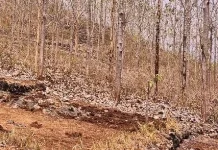 Musim Hujan Datang Lebih Lambat, Waspada! Kekeringan Panjang
