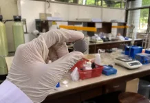 Limbah Jerami Padi Disulap Mahasiswa UGM Jadi Material Baterai