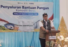 Luar Biasa! Bulog Sukses Capai Target Serapan 4 Juta Ton Beras Hanya dalam 9 Bulan