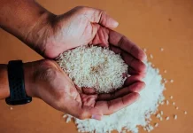 Ratusan Ton Beras Ilegal Masuk Indonesia, ini kata Guru Besar UMY