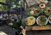 Kandang Ingkung Gamping Padukan Kuliner Tradisional dengan Lingkungan Asri
