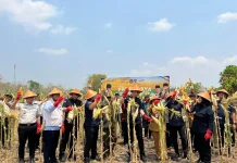 Desa Binaan Imigrasi Dorong Ketahanan Pangan Melalui Pertanian Jagung
