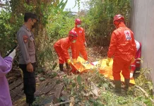 Hendak Bersihkan Lahan Kosong, Warga Temukan Jenazah Lansia di Maguwoharjo