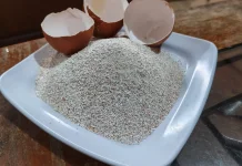 Sulap Cangkang Telur Jadi Pupuk Organik Suburkan Tanaman