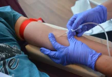 Benarkah Donor Darah Membuat Gemuk?