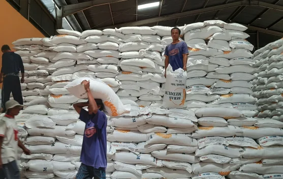 Tak Perlu Panic Buying, Bulog Yogyakarta Jamin Ketersediaan Stok Pokok Penting