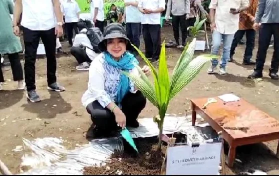 Komisi IV DPR RI Salurkan Bantuan Ribuan Bibit Kelapa Genjah