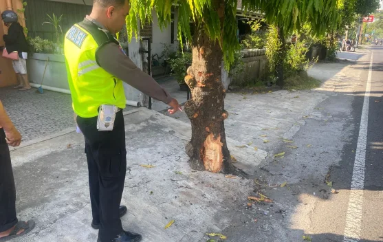 Pemotor Tewas Usai Tabrak Pohon di Sewon Bantul
