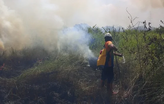 Kurangi Kebakaran Lahan Gambut, Dosen UMY Sebut Cara ini