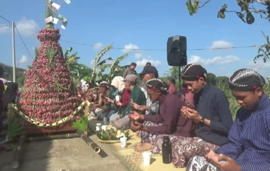 Wujud Rasa Syukur, Petani Bawang Merah Nawungan Gelar Tradisi Wiwitan Panen