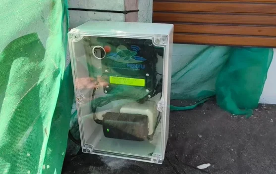 UGM Luncurkan E-NEST Penyu untuk Digitalisasi Konservasi Tukik