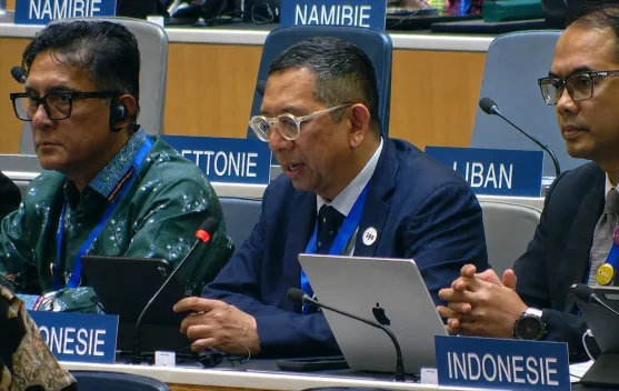 Indonesia Berikan Usulan Penting Tata Kelola Royalti Digital di WIPO