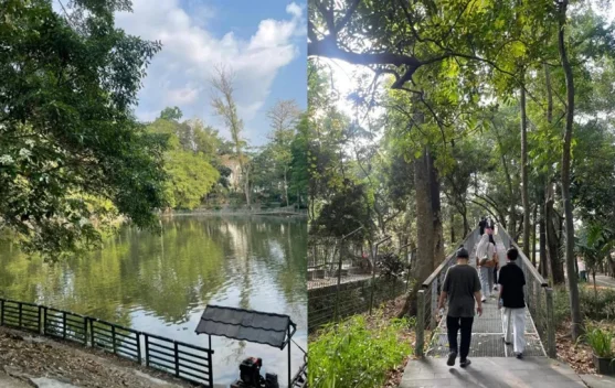 Wisdom Park UGM Jadi Destinasi Favorit Jogging Masyarakat Yogyakarta