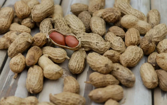 Dekati Akhir Pekan, Harga Kacang Prol di Pasar Imogiri Alami Kenaikan