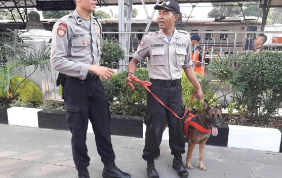 Regulasi Disusun, Konsumsi Daging Anjing di Yogyakarta Bakal Dilarang