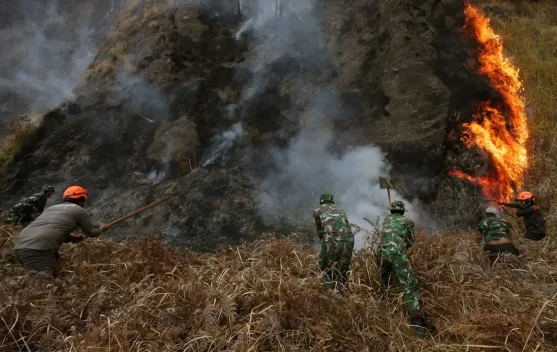 Kebakaran Bromo, Pakar Minta Usut Keterlibatan Manusia
