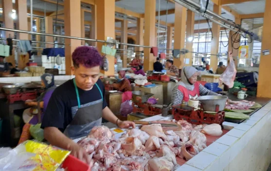 Berikut Fluktuasi Harga Hari Ini, Daging Ayam Boiler Masih Tinggi