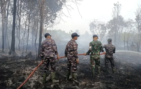Kabut Asap Karhutla Merambah Negara Tetangga, Rawan Gugatan Antar Negara