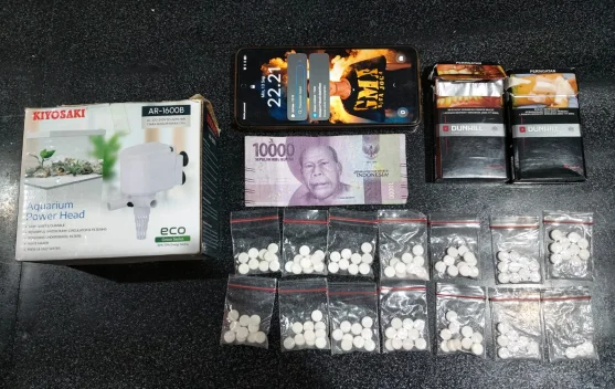 Edarkan Pil Sapi di Wilayah Sewon, Pemuda 26 Tahun Diringkus Polisi