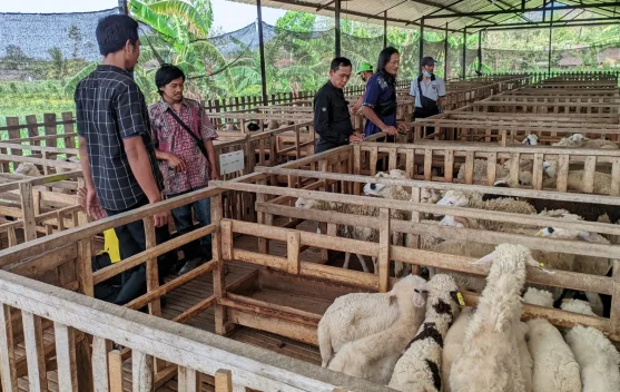 Sekolah Ternak Dompet Dhuafa, Dorong Peternak Adaptif Hadapi Perubahan Industri