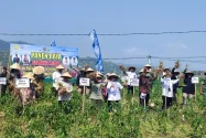 Panen 4.000 Ton Bawang Merah, Kementan Nilai Bantul Mampu Jadi Sentra Hortikultura