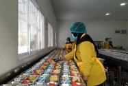 Pantau Program MBG di Sleman, KSP Minta SPPG Serius Terapkan SOP